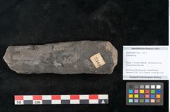 Foto (Objekt + Etikett) von Calamites sp.  (NHMW-GEO-2024-0188-11164)
